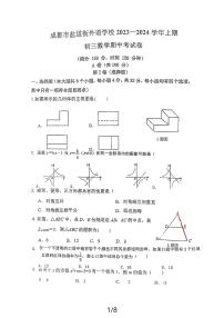 四川省成都市盐道街中学外语学校2023-2024学年九年级上学期11月期中数学试题