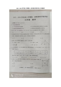 江西省九江市柴桑区2023-2024学年九年级上学期11月期中数学试题