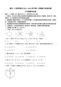 广东省惠州市一中教育集团2023-2024学年九年级上学期期中数学试题(无答案)