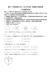 广东省惠州市一中教育集团2023-2024学年九年级上学期期中数学试题(无答案)