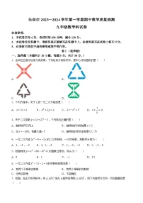 广东省韶关乐昌市2023-2024学年九年级上学期期中数学试题