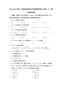 广东省深圳市南山区深圳湾学校2023-2024学年八年级上学期期中数学试卷