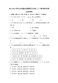 山东省烟台市蓬莱区2023-2024学年九年级上学期期中数学试卷（五四学制）