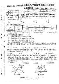 江西省抚州市临川区初中学校期中联考2023-2024学年九年级上学期11月期中数学试题