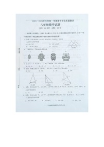 山东省菏泽市成武县2023-2024学年八年级上学期11月期中数学试题