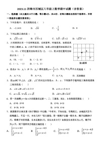 2023.11济南市历城区八年级上数学期中试题（含答案）