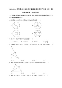 2023-2024学年黑龙江省大庆市肇源县四校联考八年级（上）期中数学试卷（五四学制）（含解析）