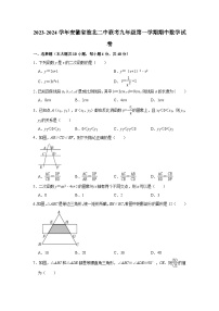 2023-2024学年安徽省淮北二中联考九年级（上）期中数学试卷（含解析）