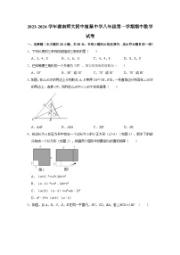 2023-2024学年湖南师大附中植基中学八年级（上）期中数学试卷（含解析）