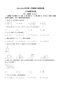 河北省承德市兴隆县2023-2024学年九年级上学期期中数学试题