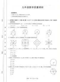 河南省信阳市平桥区2023-—2024学年九年级上学期11月期中数学试题