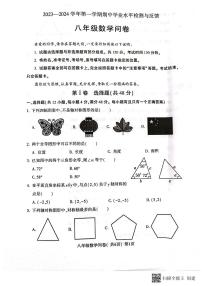 山东省聊城市阳谷县2023—2024学年八年级上学期11月期中数学试题