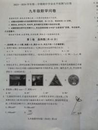 山东省聊城市阳谷县2023—-2024学年九年级上学期11月期中数学试题