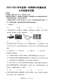 山东省菏泽市单县2023-2024学年七年级上学期11月期中数学试题