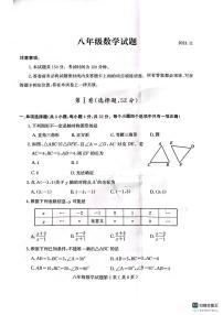 山东省潍坊市诸城市2023-2024学年八年级上学期11月期中数学试题