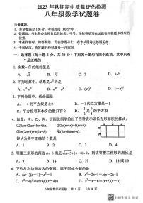 河南省南阳市2023-2024学年八年级上学期11月期中数学试题