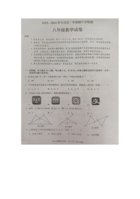广东省湛江市廉江市第四中学2023-—2024学年八年级上学期11月期中数学试题