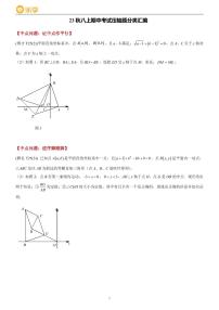 2023秋长沙四大名校八上期中考试数学压轴题分类汇编