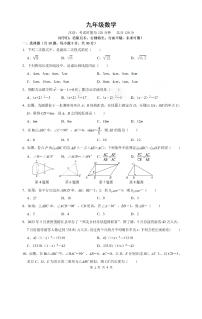 湖南省衡阳市八中教育集团2023—2024学年上学期期中考试九年级数学试卷