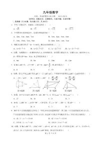 湖南省衡阳市八中教育集团2023—2024学年上学期期中考试九年级数学试卷