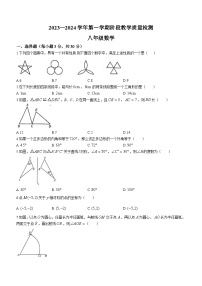 河南省许昌市襄城县2023-2024学年八年级上学期期中数学试题