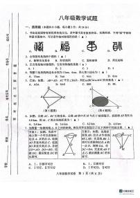 江苏省宿迁市泗洪县2023-2024学年八年级上学期11月期中数学试题