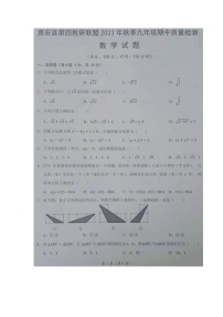 福建省泉州市惠安县第四联盟2023-2024学年九年级上学期期中联考数学试题