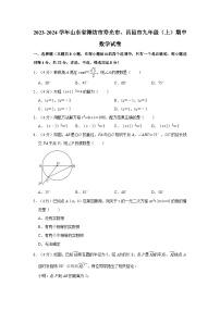 山东省潍坊市寿光市、昌邑市2023—2024学年上学期九年级期中数学试卷