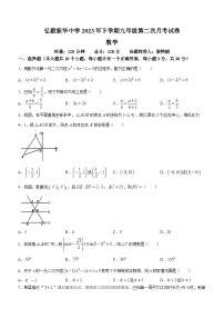 湖南省岳阳市弘毅新华中学2023-2024年九年级上学期期中数学试题