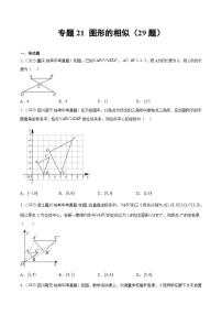 专题21 图形的相似（共29题）-2023年中考数学真题分项汇编（全国通用）