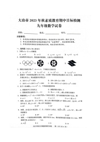 湖北省黄石市大冶市2023－2024学年九年级上学期期中考试数学试卷