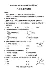 2023-2024河南省洛阳市洛龙区八上期中数学试卷及答案