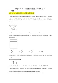 北师大版九年级数学下册 专题2.28 用二次函数解决问题（附答案）