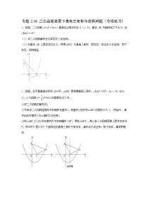 北师大版九年级数学下册 专题2.38 二次函数背景下直角三角形存在性问题（附答案）