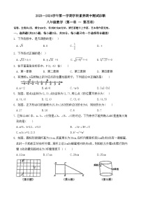 广东省深圳市龙岗区石芽岭学校2023-2024学年八年级上学期11月数学期中测试卷