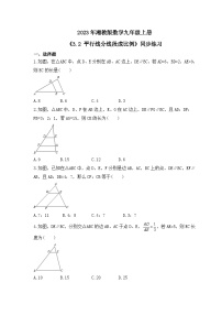 初中数学湘教版九年级上册3.2 平行线分线段成比例精品复习练习题