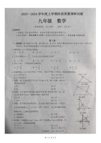 广西百色市2023—2024学年九年级上学期11月期中数学试题