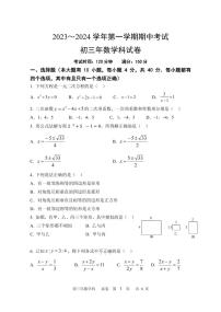 漳州一中2023-2024学年第一学期期中考九年级数学科试卷（含答案）