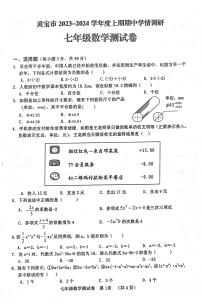 河南省三门峡市灵宝市2023-2024学年上期期中学情调研七年级数学测试卷