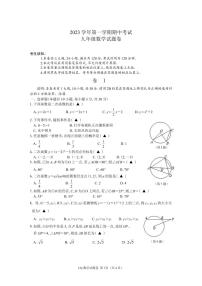 浙江省丽水市龙泉市2023-2024学年上学期期中考试九年级数学试卷（PDF版，含答案）