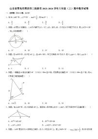 山东省青岛市莱西市三校联考2023-2024学年八年级上学期期中数学试卷