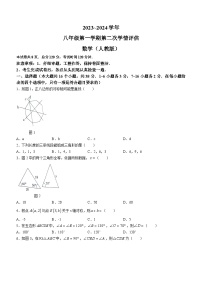 河北省邯郸冀南新区育华实验学校2023-2024学年八年级上学期期中数学试题