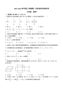 江西省九江市柴桑区2023-2024学年七年级上学期期中数学试题