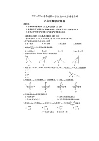 安徽省滁州市天长市铜城片2023~2024学年上学期八年级数学期中试卷