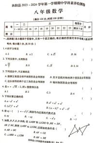 2023-2024洛阳市汝阳县八上期中数学试卷及答案