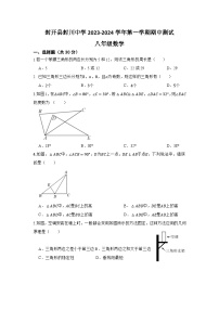 广东省肇庆市封开县封川中学2023—-2024学年八年级上学期11月期中数学试题