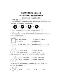 新疆+乌鲁木齐市第十二中学2023-—2024学年上学期八年级数学期中试卷