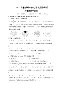 广东省惠州市知行学校2023-—2024学年九年级上学期期中数学试卷+