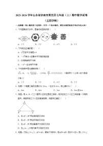 山东省济南市莱芜区2023-2024学年七年级上学期期中数学试卷（五四学制）