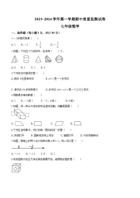 江西省萍乡市芦溪县2023-2024学年七年级上学期期中数学试题